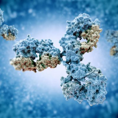 antibodies to cell movement of the virus
